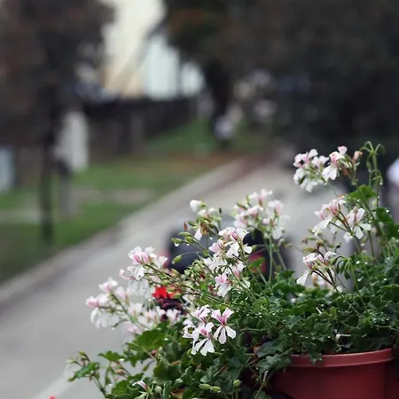 Kapetanovic 3* Bosanski Samac